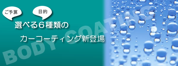 �J�[�R�[�e�B���O/�|���}�[���H/�K���X�n�R�[�e�B���O