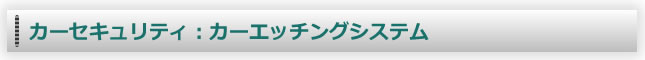 �J�[�Z�L�����e�B�@�J�[�G�b�`���O�V�X�e��