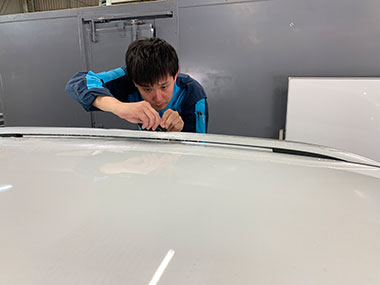 モールプロテクションフィルム