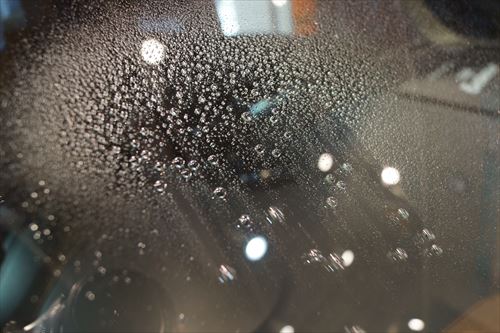 dsc07784_r