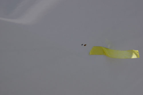 板金塗装修理 コーティング 広島 塗装修理 下地処理 トヨタ ランドクルーザープラド Part1 ティーズフィルム広島 カーコーティング フロントガラス カーフィルム施工紹介ブログ