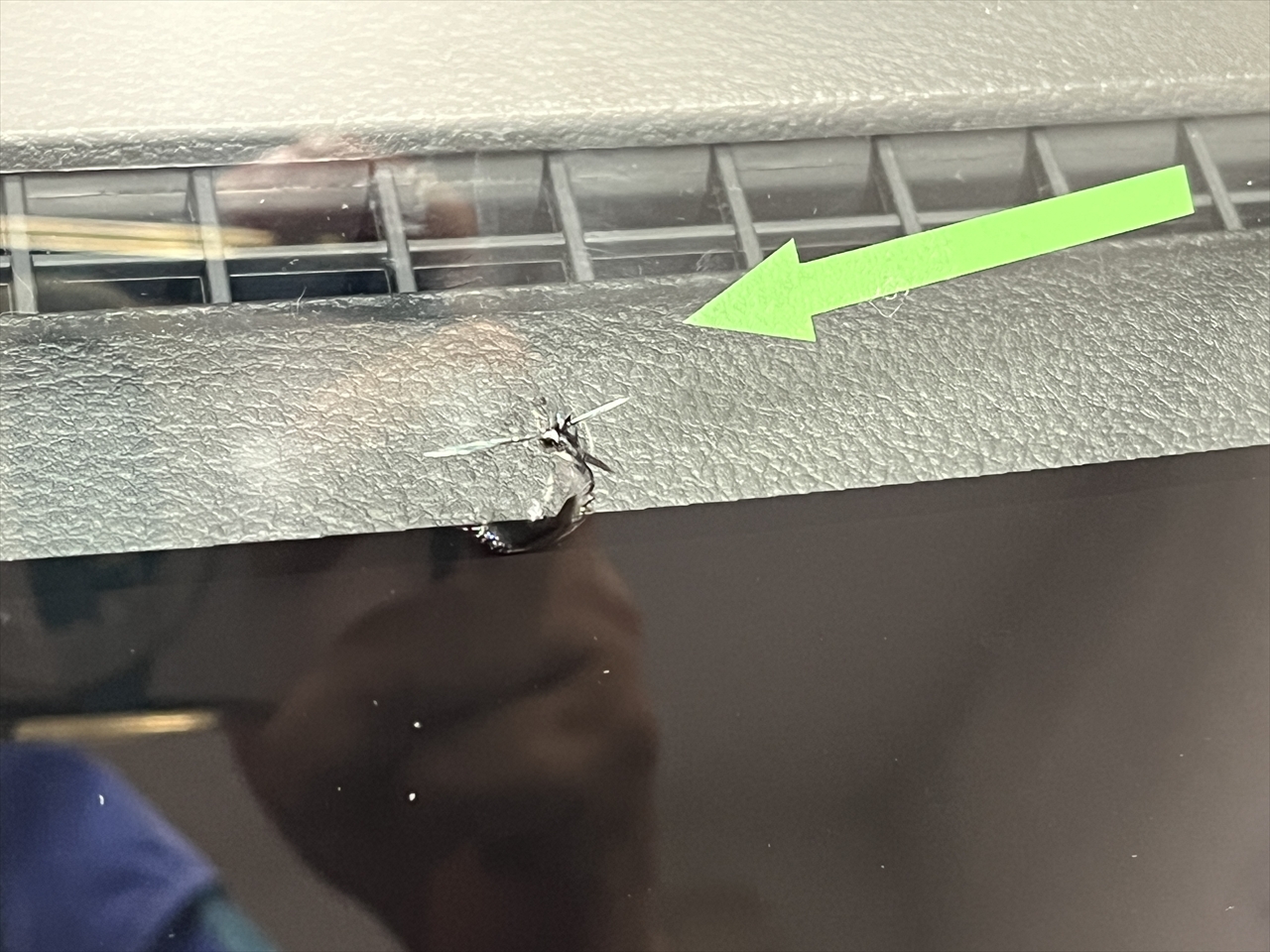 フロントガラスリペア・修理