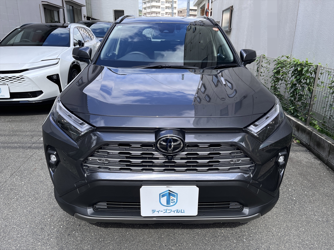 カープロテクションフィルム