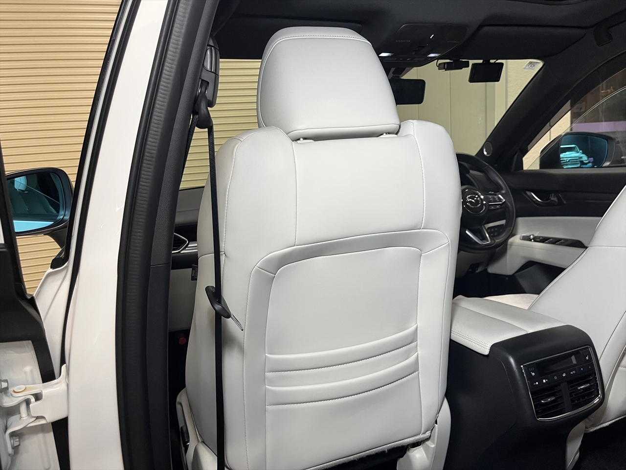 車内クリーニング (嘔吐 シート周り)