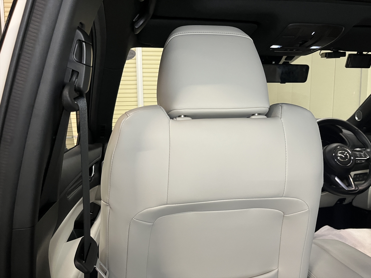 車内クリーニング (嘔吐 シート周り)