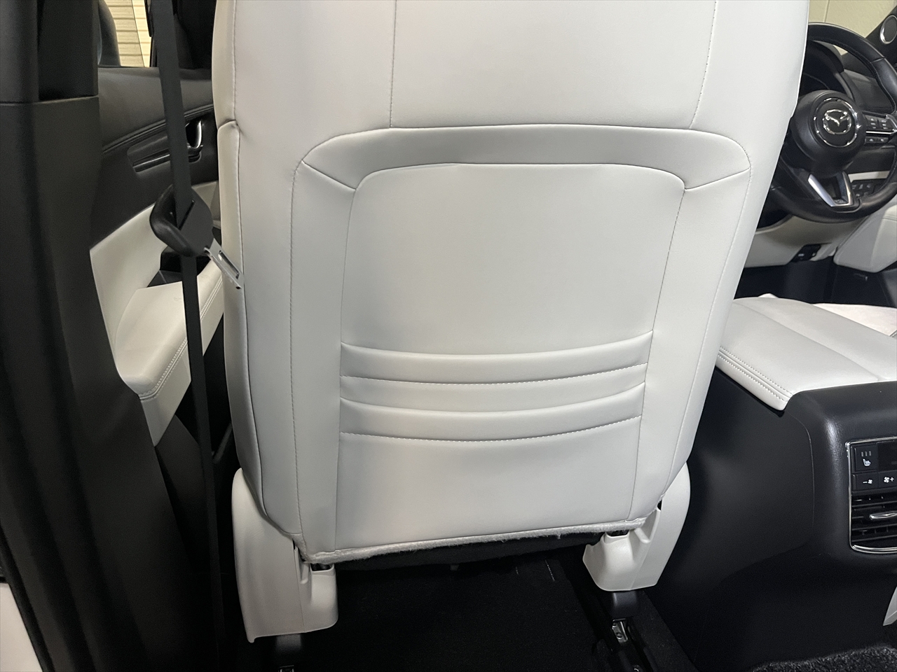 車内クリーニング (嘔吐 シート周り)