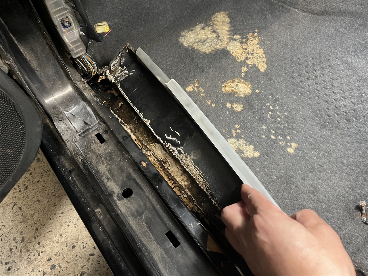 車内クリーニング(カビ)