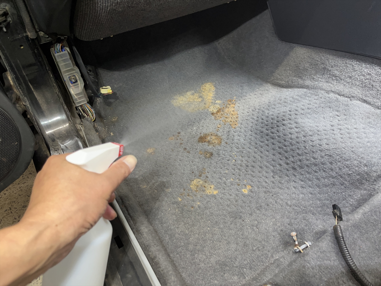 車内クリーニング(カビ)