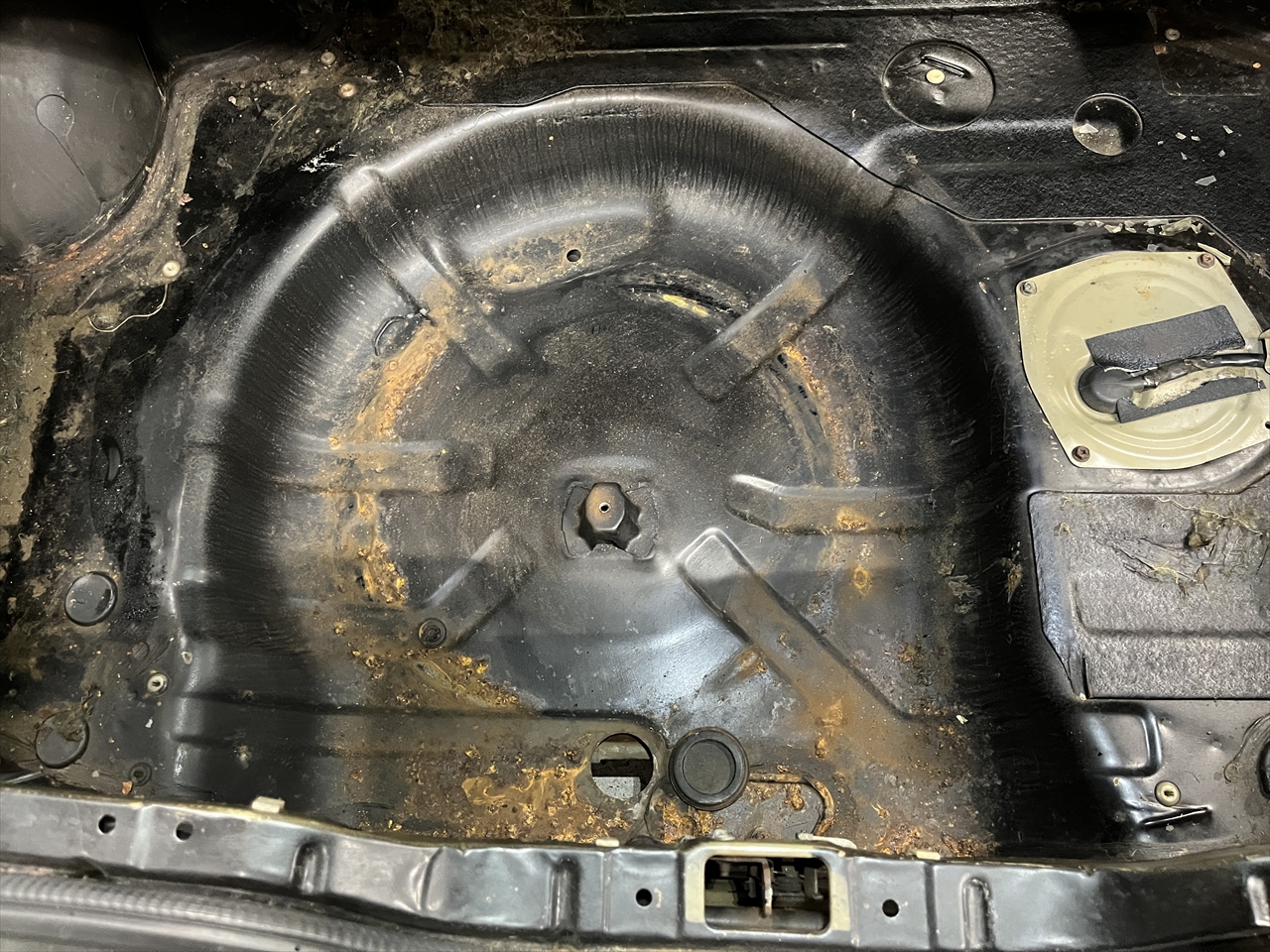 車内クリーニング(カビ)