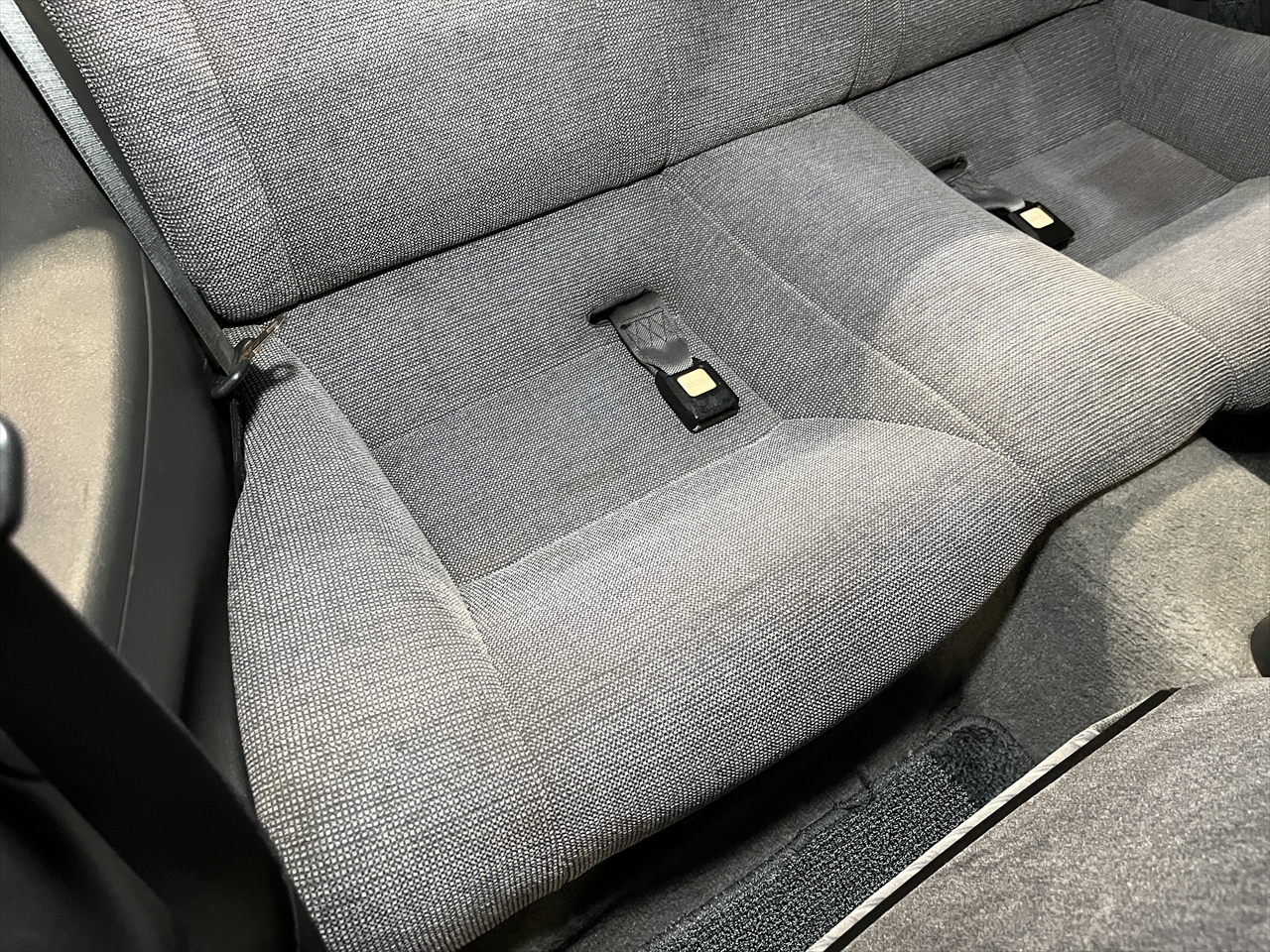 車内クリーニング(カビ)