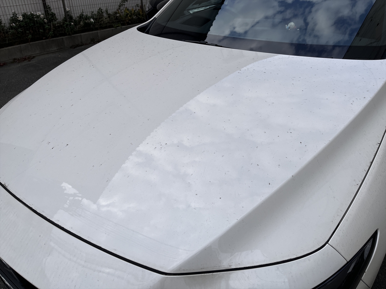 カーコーティング