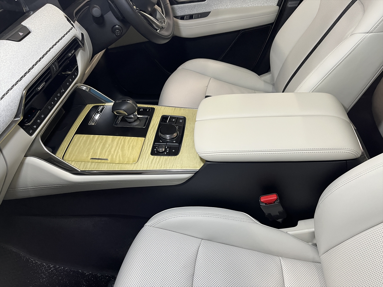 レザーコーティング