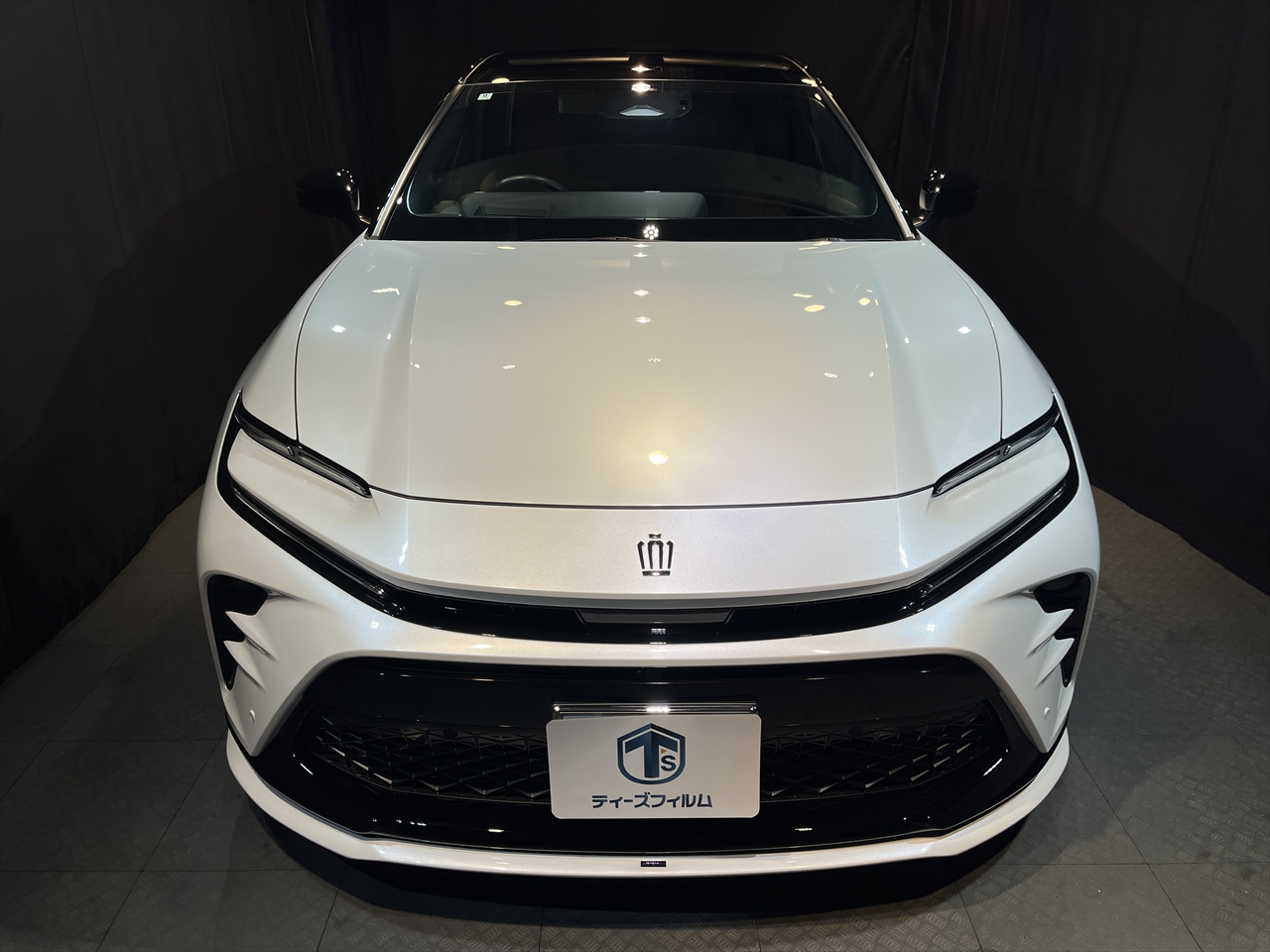 カーコーティング(部分施工)