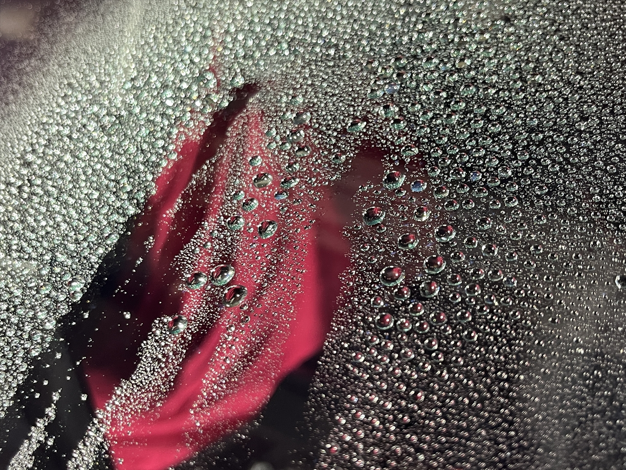 ガラス撥水コーティング